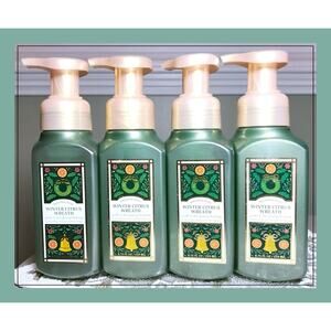 Bath & Body Works WINTER CITRUS WREATH Gentle & Clean Foaming Hand Soap x4